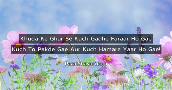 khuda ke ghar se kuch gadhe faraar, English Funny Shayari and Poetry -  Pagal Shayari