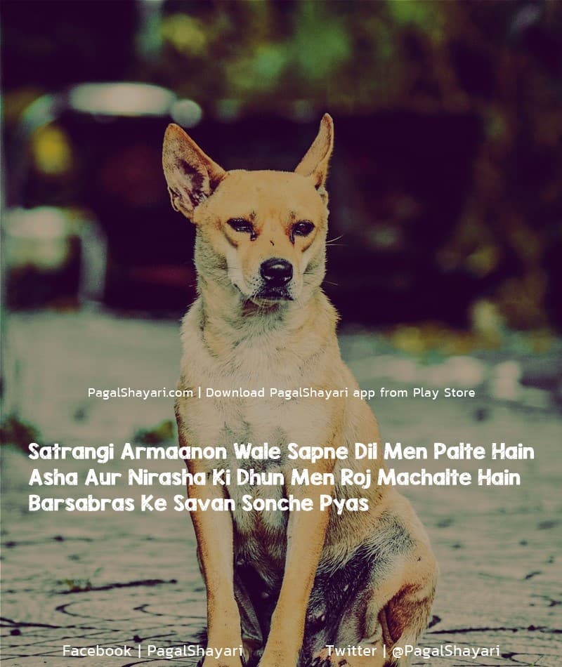 Hindi Shayari, Satrangi aasama wale