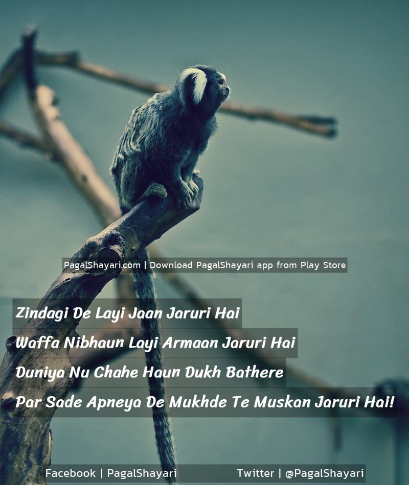 Zindagi De Layi Jaan Jaruri Hai