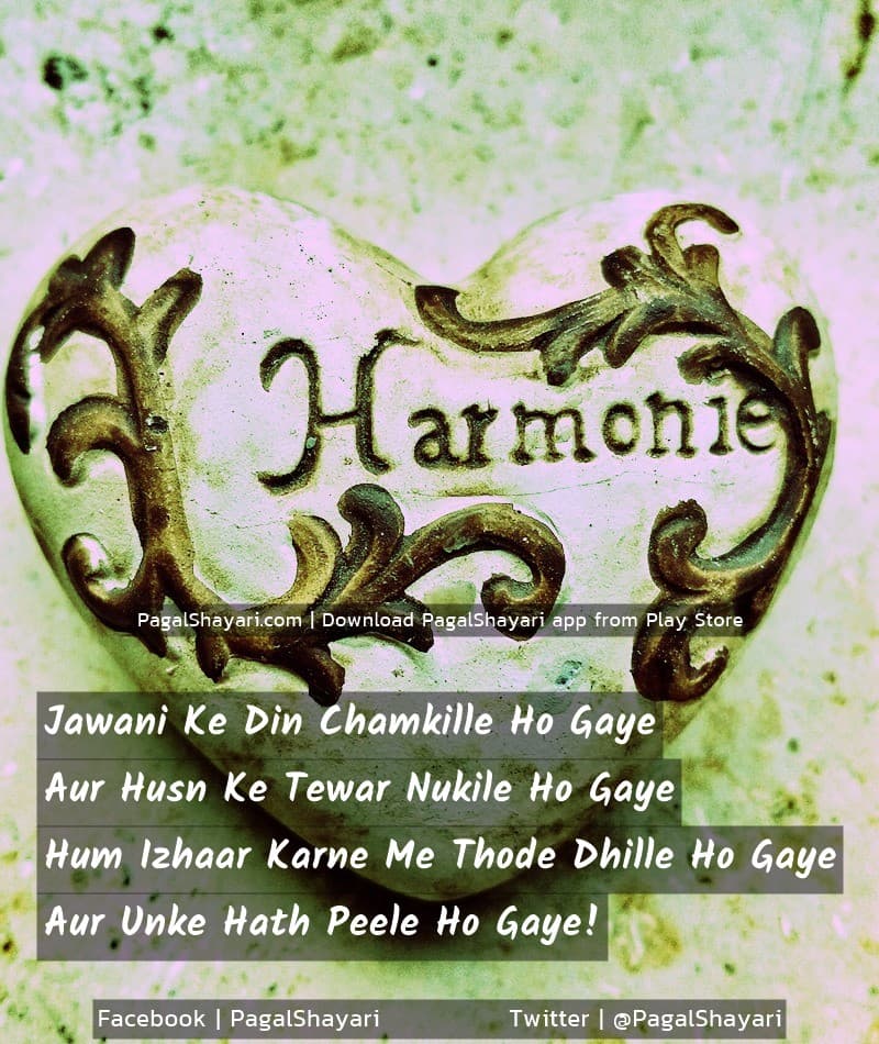 Jawani Ke Din Chamkille Ho Gaye