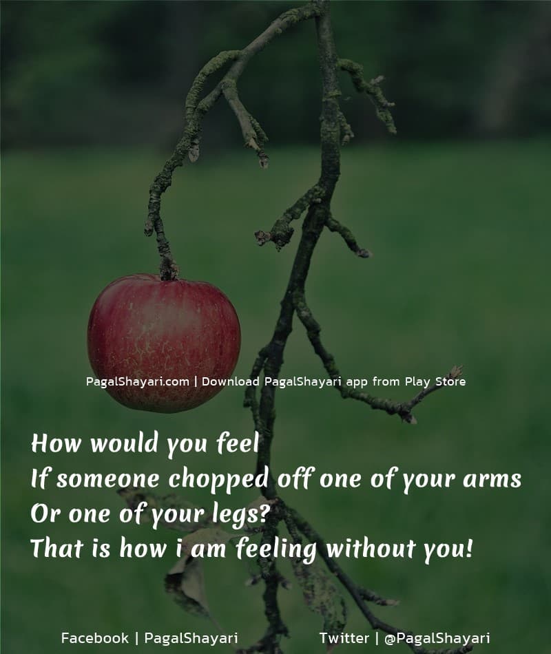 How Would You Feel 