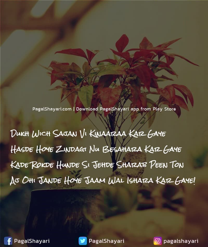 Dukh Wich Sajan Vi Kinaaraa Kar Gaye