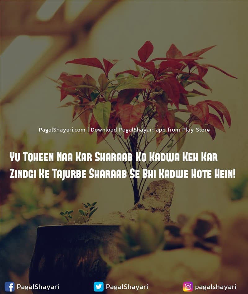 Yu Toheen Naa Kar Sharaab Ko Kadwa Keh Kar