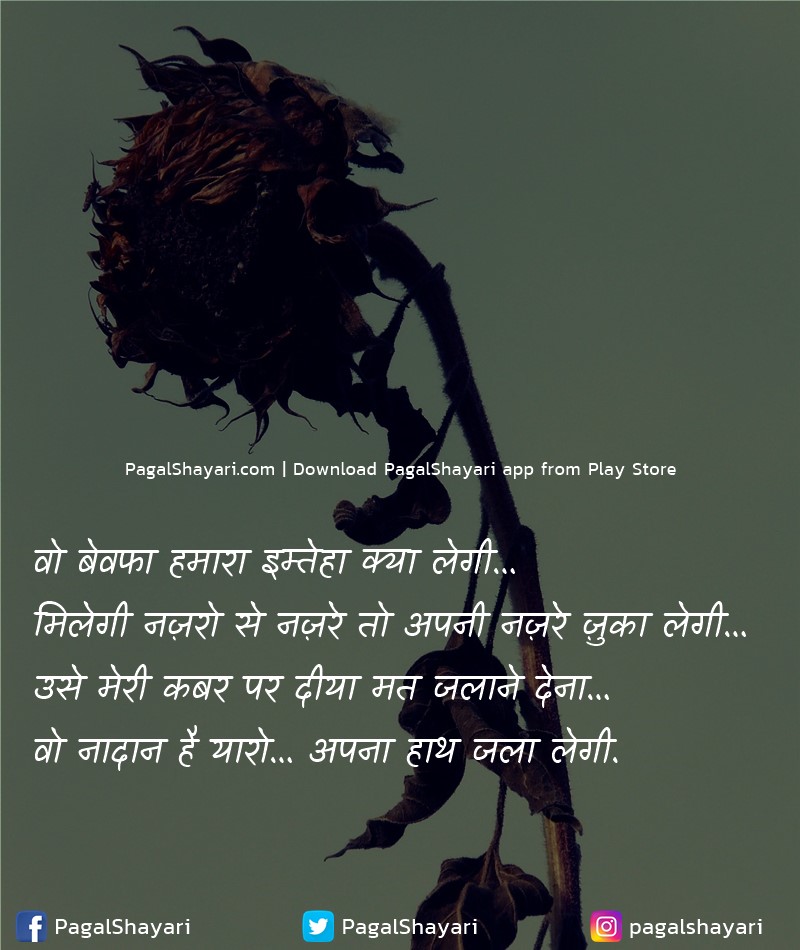 वो बेवफा हमारा इम्तेहा क्या लेगी…