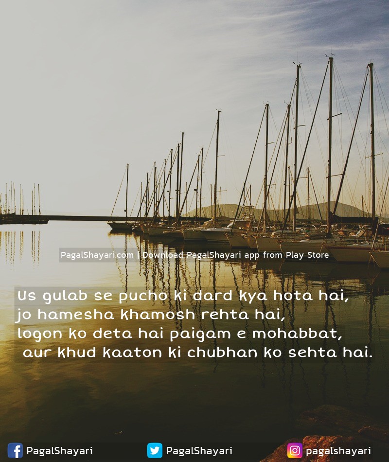 Us Gulab Se Pucho Ki Dard Kya Hota Hai