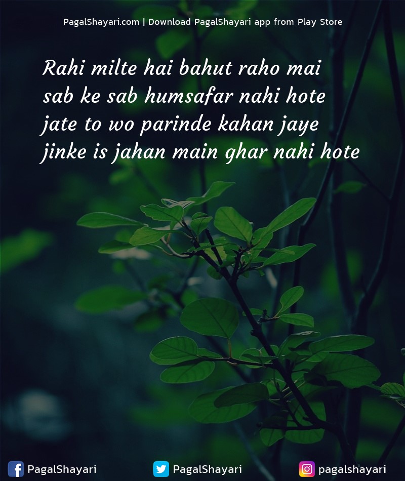 rahi milte hai bahut raho mai
sab ke sab humsafar nahi hote
jate to wo parinde kahan