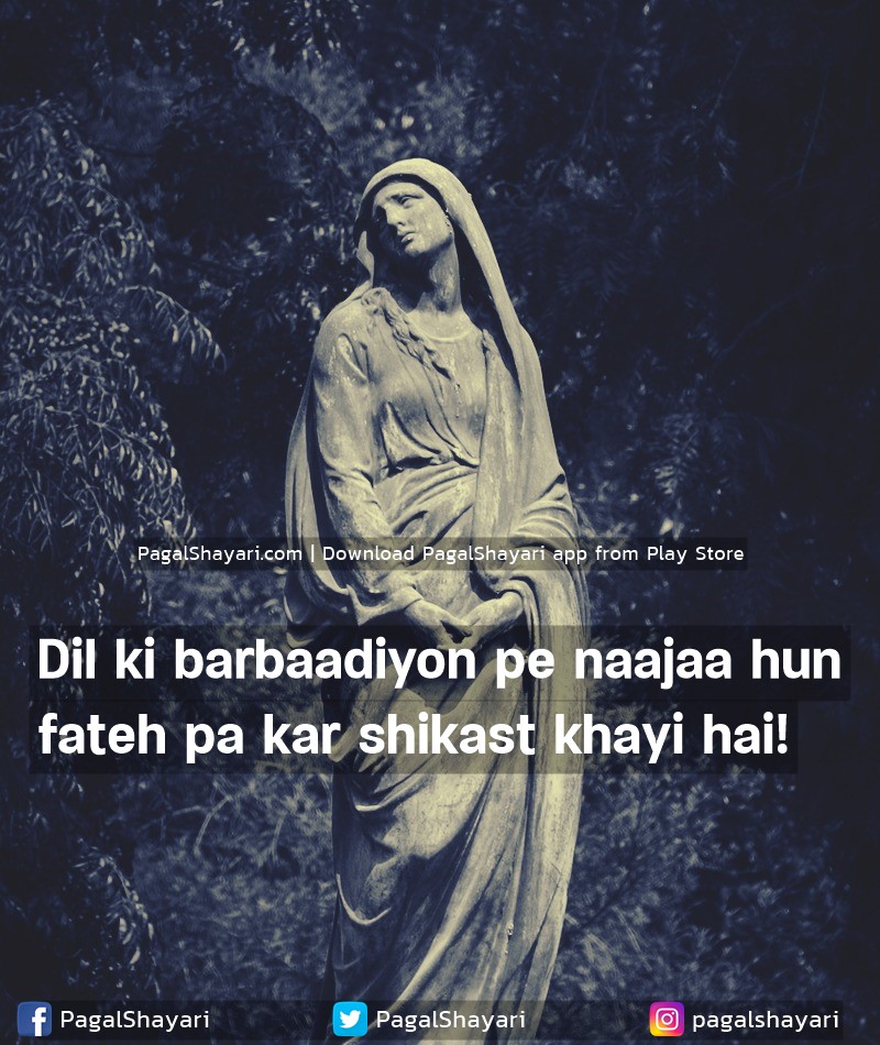 Dil ki barbaadiyon pe naajaa hun