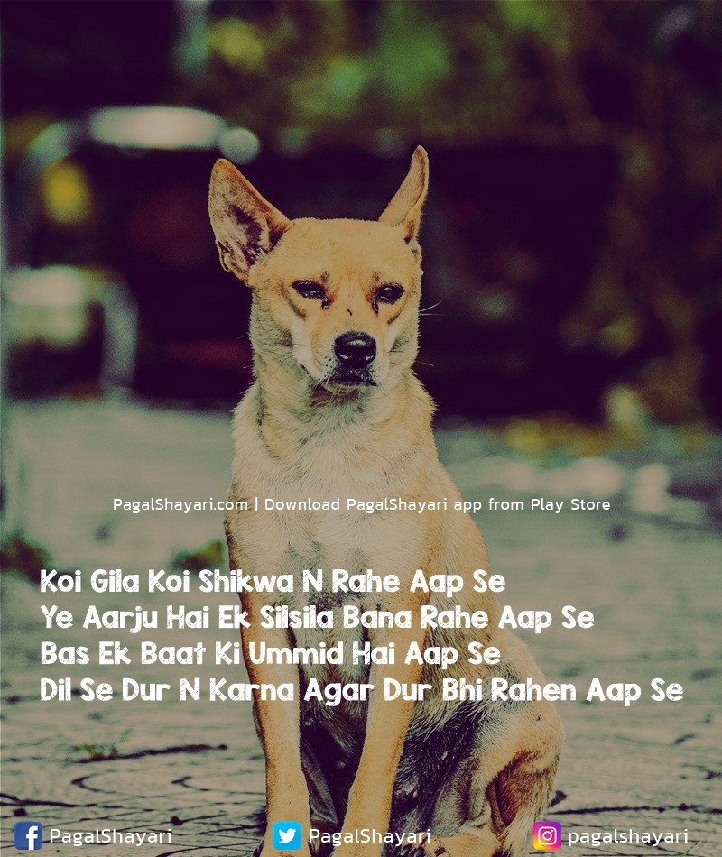 koi gila koi shikwa n rahe aap