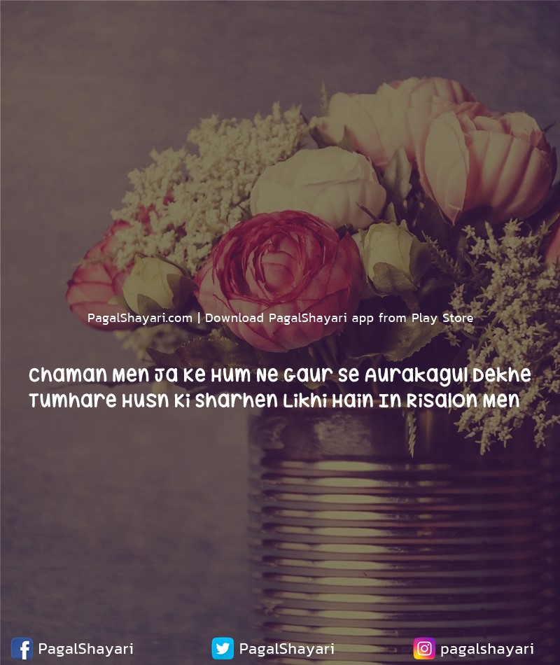 chaman men ja ke hum ne gaur