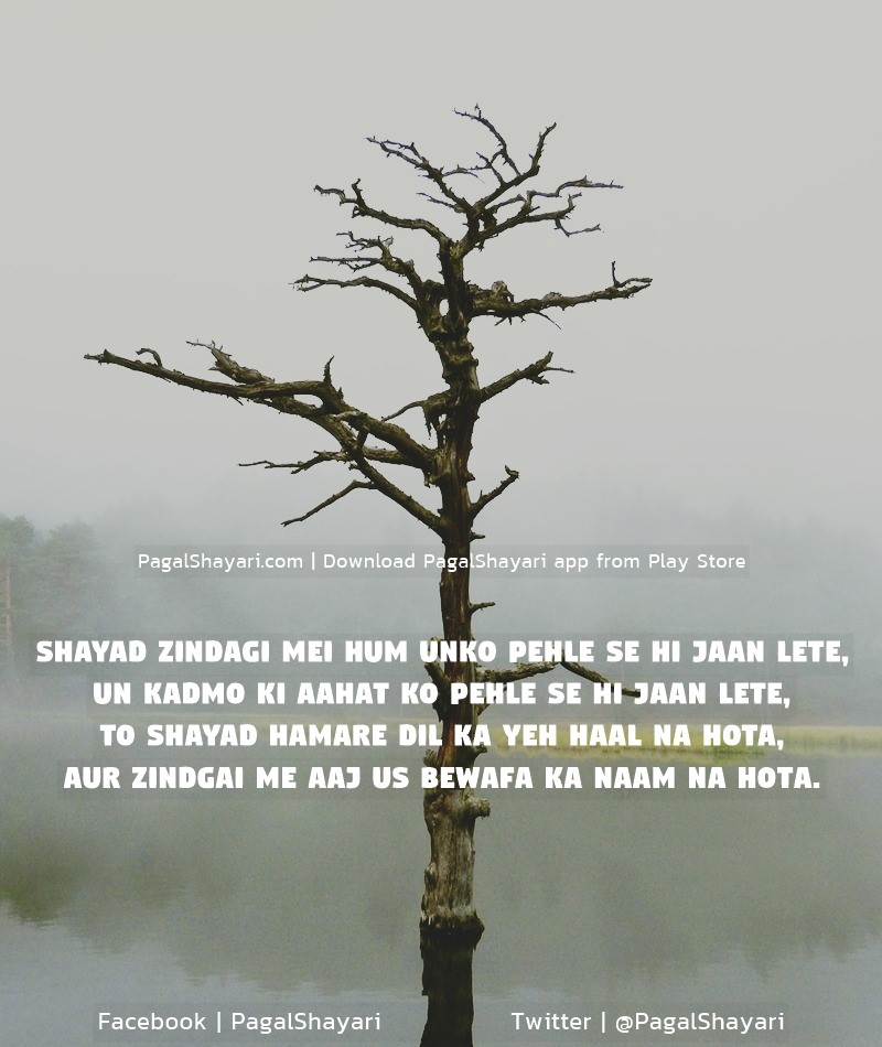 Shayad Zindagi Mei Hum Unko Pehle Se Hi Jaan Lete