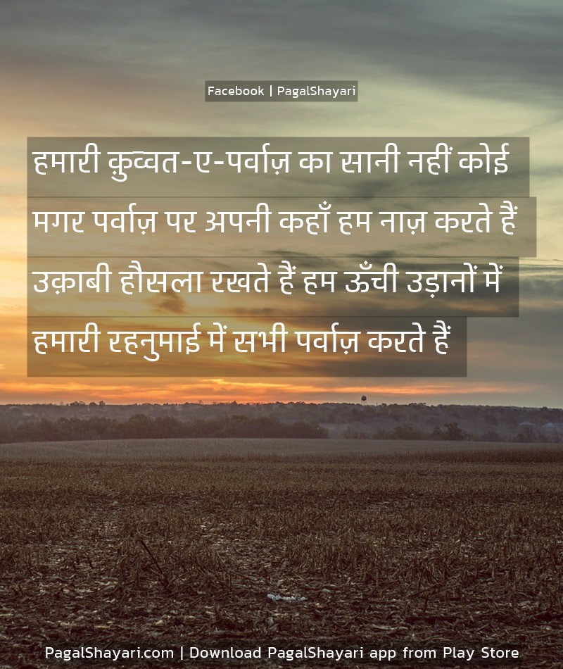 हमारी क़ुव्वत-ए-पर्वाज़ का सानी नहीं कोई