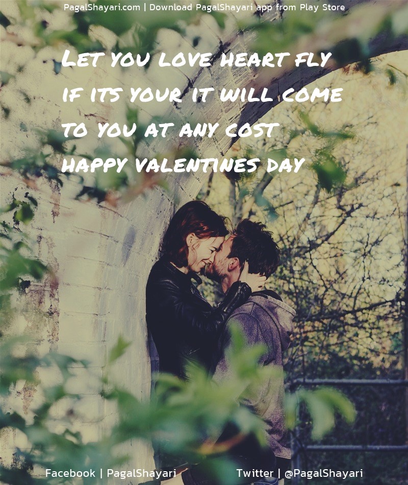 Let You Love Heart Fly
If Its Your It Will Come
To You At Any Cost
Happy Valentines