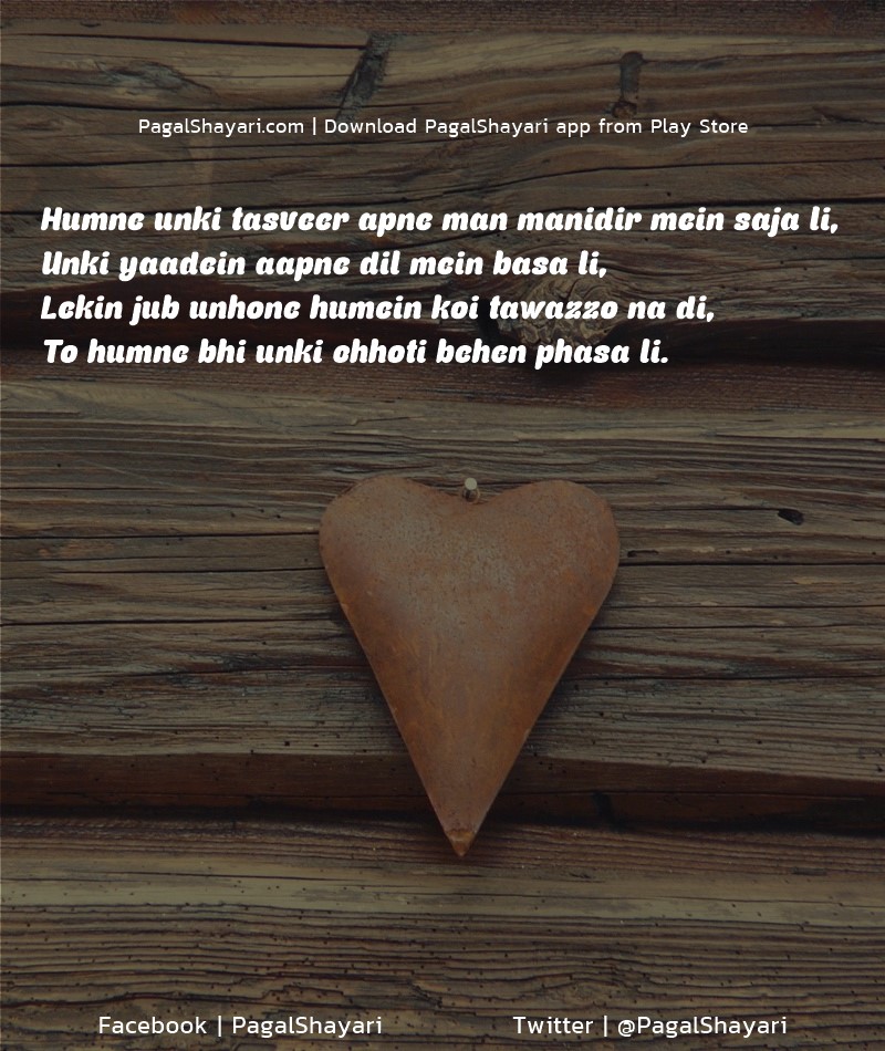 Funny Shayari, Humne unki tasveer