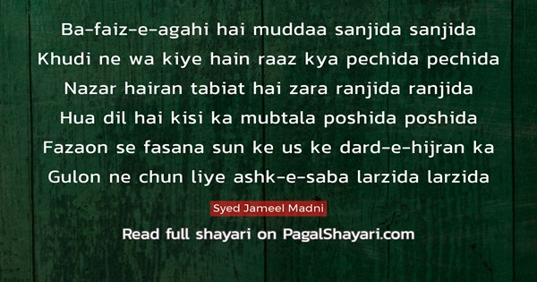 Syed Jameel Madni Shayari And Poetry Pagal Shayari